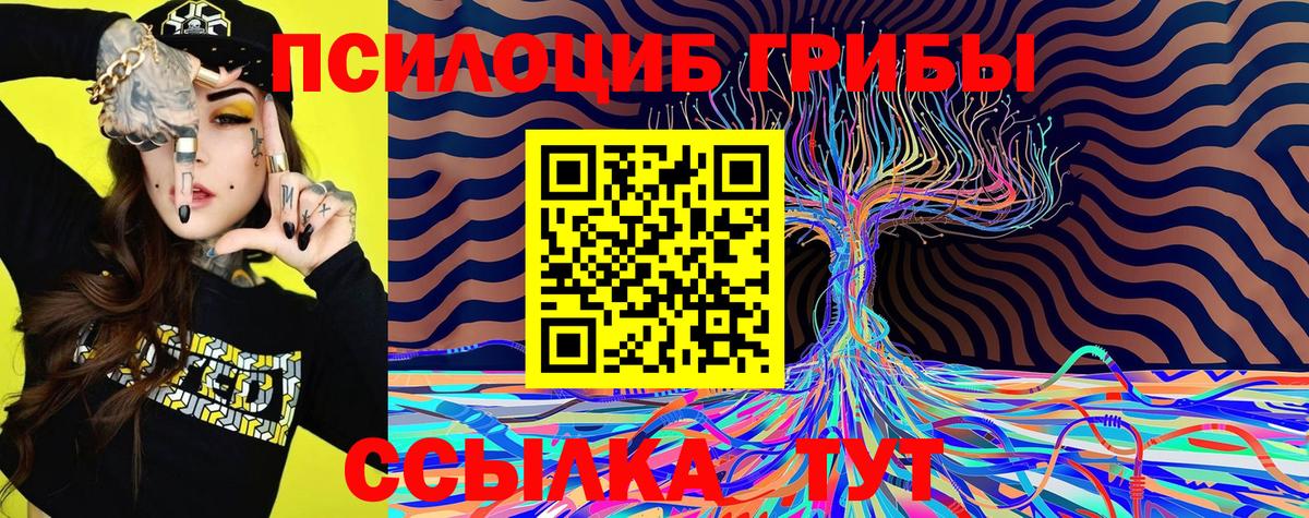 Псилоцибиновые грибы MAGIC MUSHROOMS  Вход с VPN  Галлюциногенные грибы прущие грибы  Ялта 
