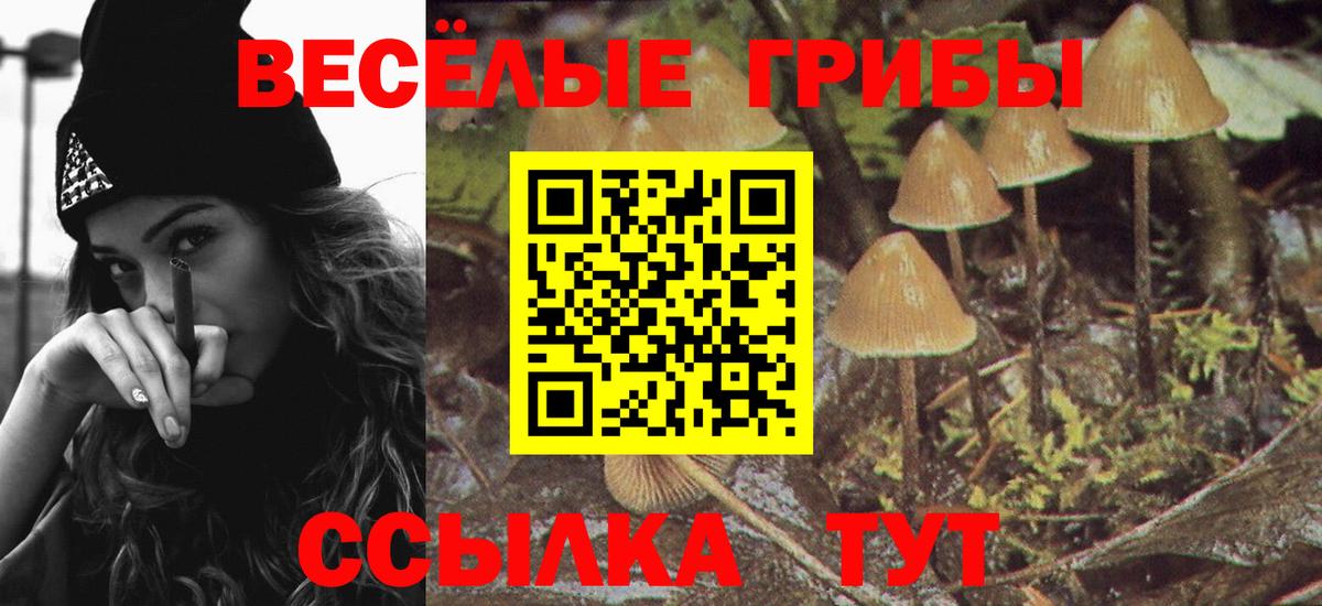 Галлюциногенные грибы Psilocybine cubensis Ялта